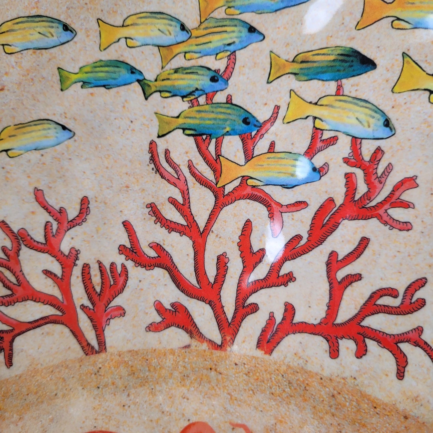 Saladier 36cm Sea Life : Un Voyage Sous-Marin à Votre Table