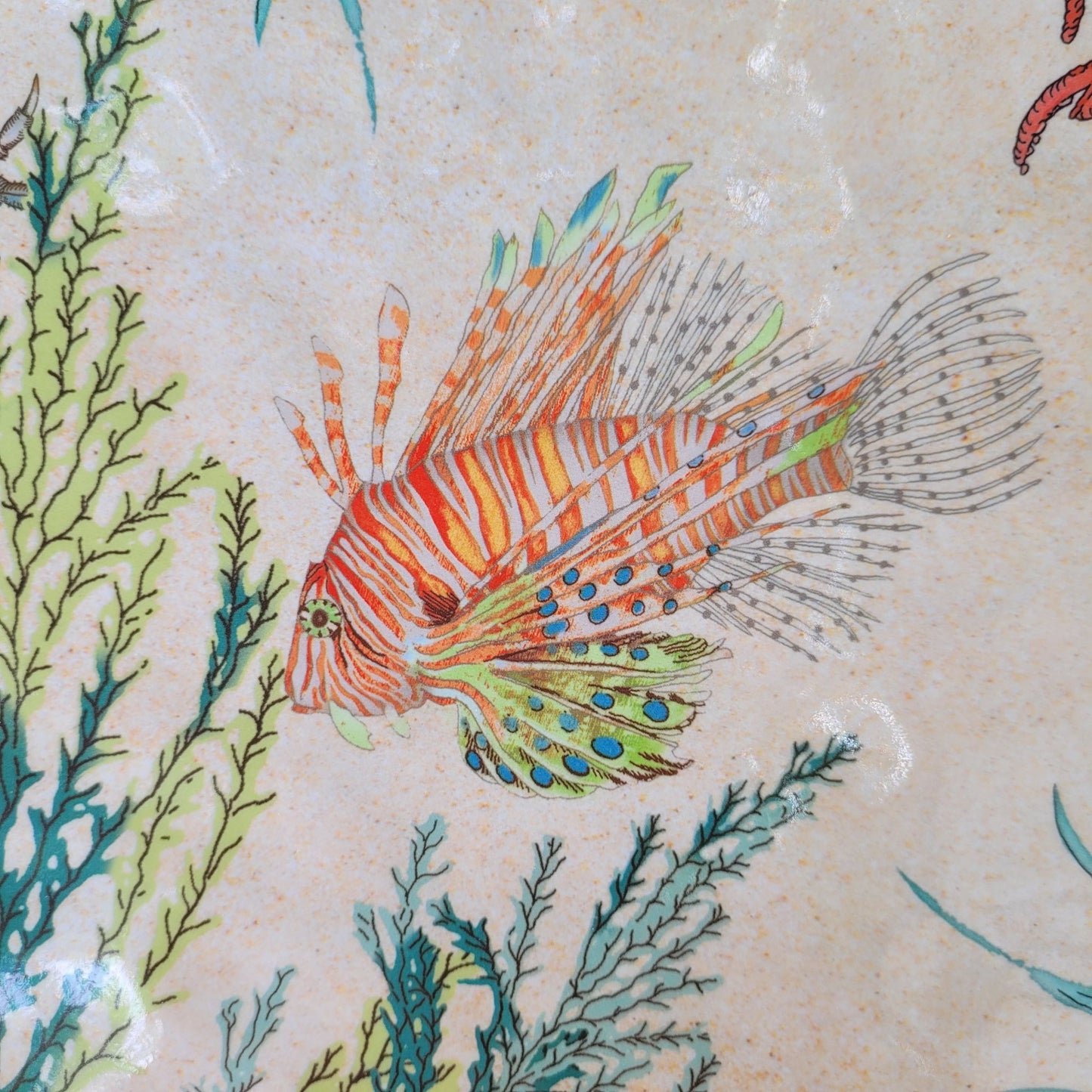Plat de Service Ovale Mélamine Sea Life 52cm Rose & Tulipani