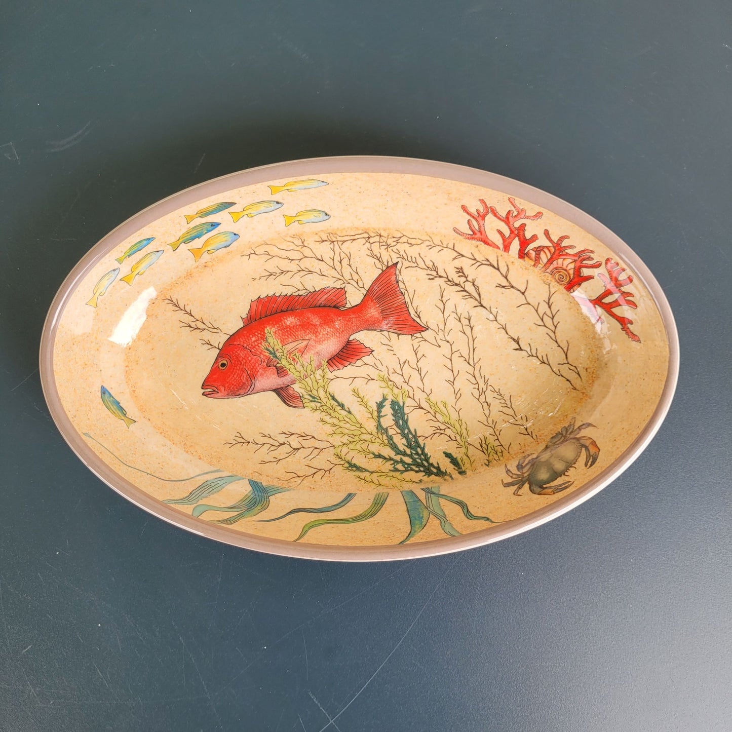 Plat Ovale 24x15cm Sea Life : Une Touche Marine Raffinée pour Vos Présentations