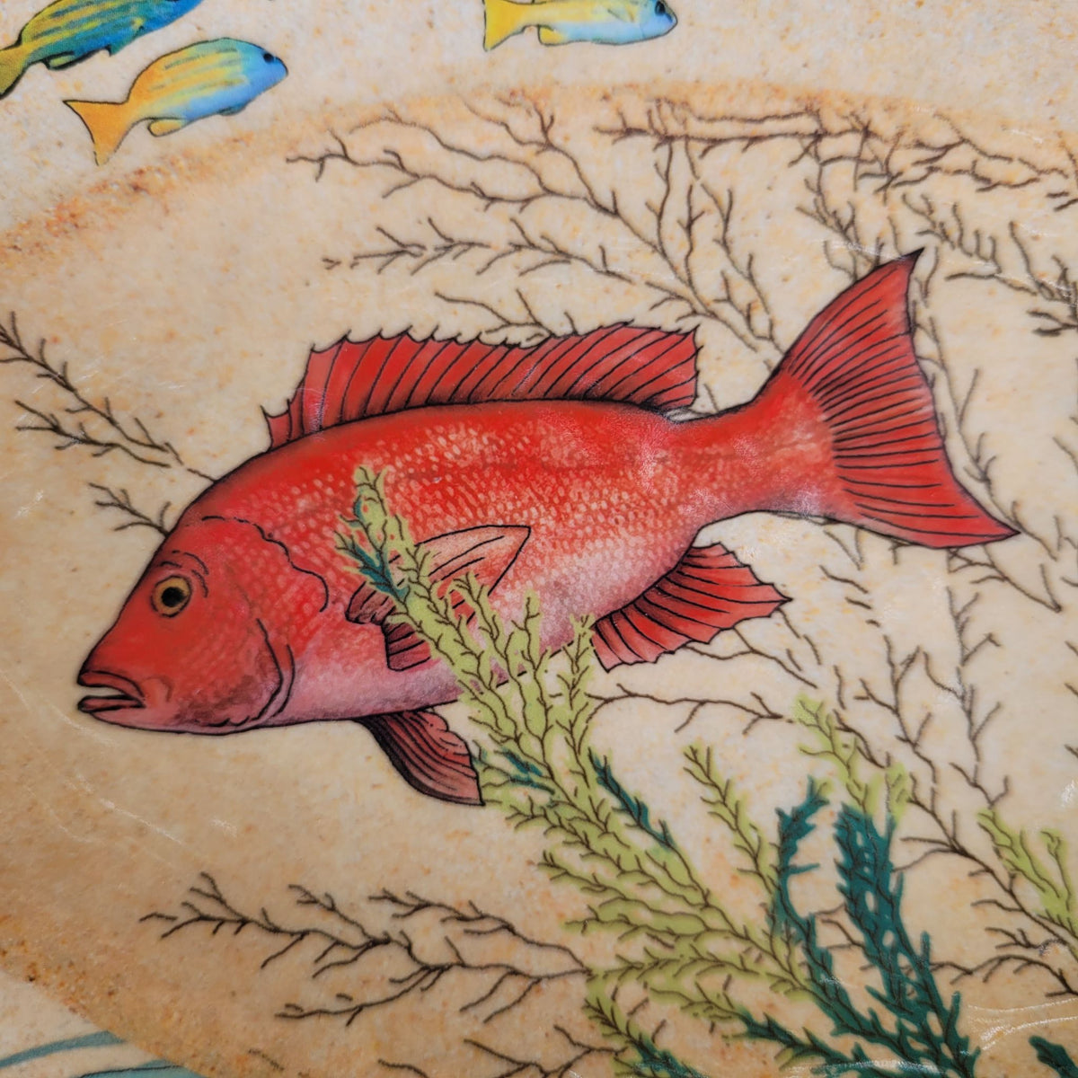 Plat Ovale 24x15cm Sea Life : Une Touche Marine Raffinée pour Vos Présentations