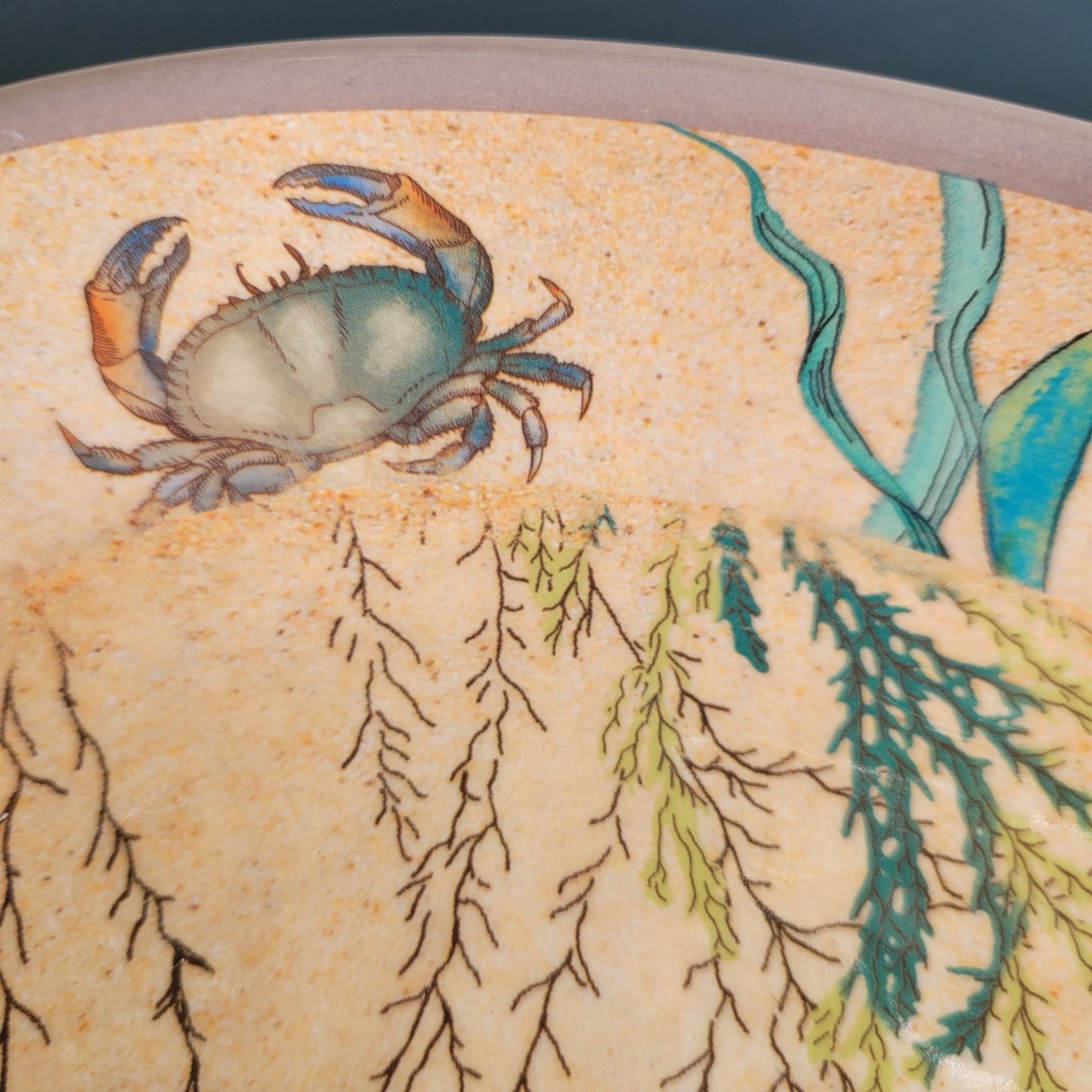 Plat Ovale 24x15cm Sea Life : Une Touche Marine Raffinée pour Vos Présentations