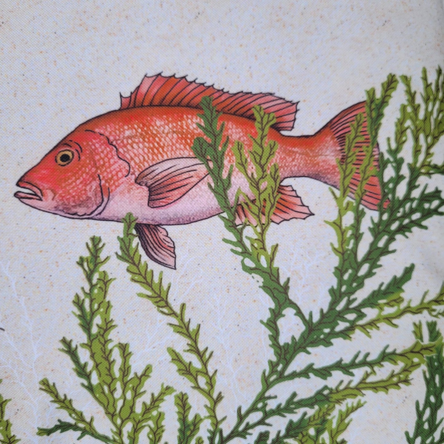 Coussin d'Extérieur Rectangulaire Sea Life 40x60 cm - Bleu Tendre / Fond Marin