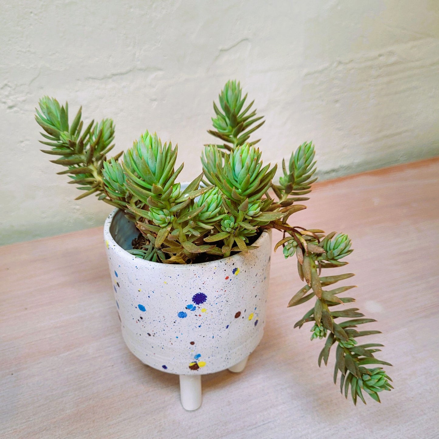 Le_Grenier_du_Marais-Pot sur pattes_faience_confettis_artisanal