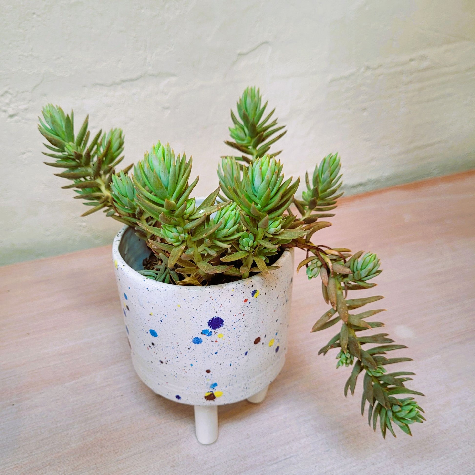 Le_Grenier_du_Marais-Pot sur pattes_faience_confettis_artisanal