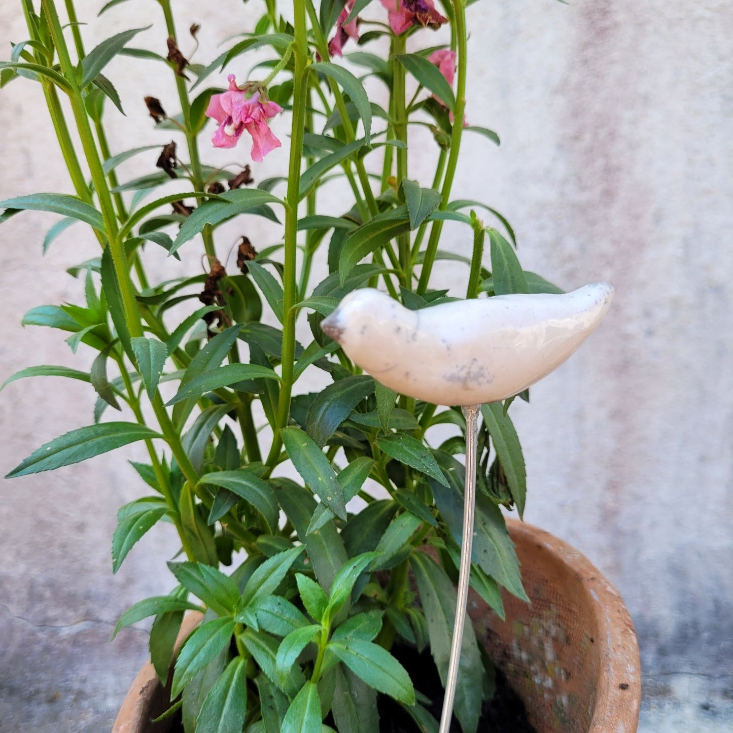 Oiseau à Piquer en Grès Raku - Finition Blanche