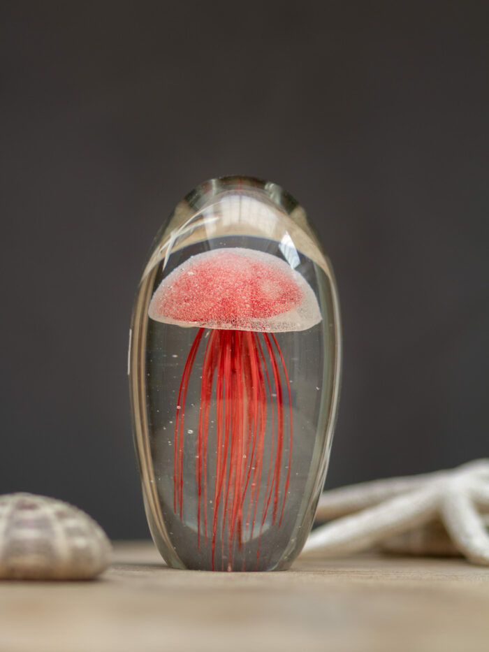 Le Grenier du Marais-Sulfure méduse rouge-Châtelaillon