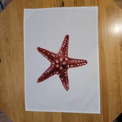 Le Grenier du Marais-Torchon étoile de mer-Châtelaillon