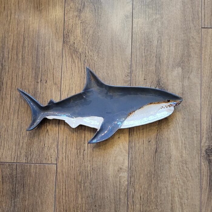 Le Grenier du Marais-Plat requin-Châtelaillon