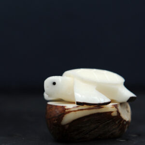 Le Grenier du Marais-Figurine-tortue-marine-Châtelaillon-Plage