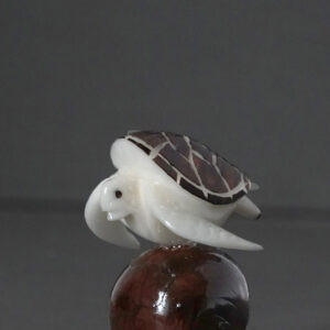 Le Grenier du Marais-tortue-mer-cafe-Châtelaillon-plage