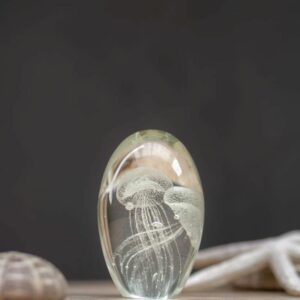 Le Grenier du Marais-Sulfure 2 méduses blanches-Châtelaillon