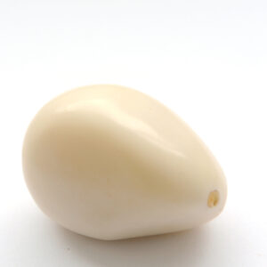 Le Grenier du Marais-noix-tagua-naturelle-Châtelaillon-Plage