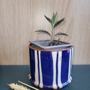 Le Grenier du Marais-Cache pot larges rayures verticales-Châtelaillon-Plage