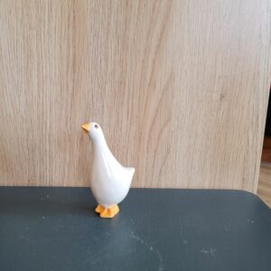 Le Grenier du Marais-Oie lili blanche1-Châtelaillon-Plage