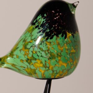 Le Grenier du Marais-Oiseau vert moucheté sur pied(1)-Châtelaillon-Plage