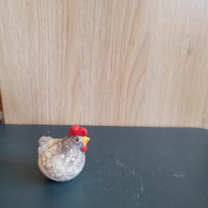 Le Grenier du Marais-Poule lili grise1-Châtelaillon-Plage