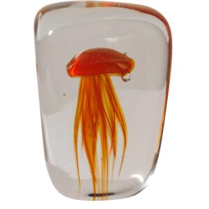 Le Grenier du Marais-Sulfure méduse orangée-Châtelaillon-Plage