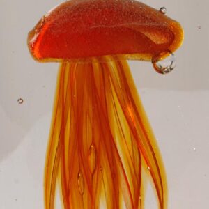 Le Grenier du Marais-Sulfure méduse orangée(1)-Châtelaillon-Plage