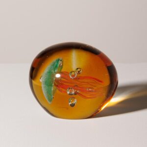 Le Grenier du Marais-Sulfure tropicale méduse-Châtelaillon-Plage