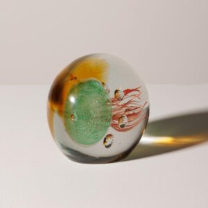 Le Grenier du Marais-Sulfure tropicale méduse(1)-Châtelaillon-Plage