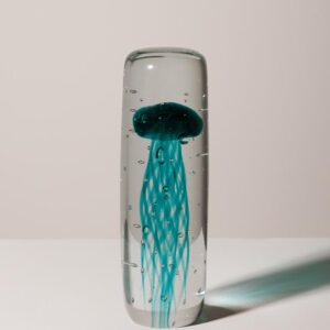 Le Grenier du Marais-Sulfure méduse haute turquoise-Châtelaillon-Plage