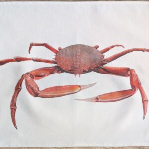 Le Grenier du Marais-Torchon araignée-Châtelaillon-Plage