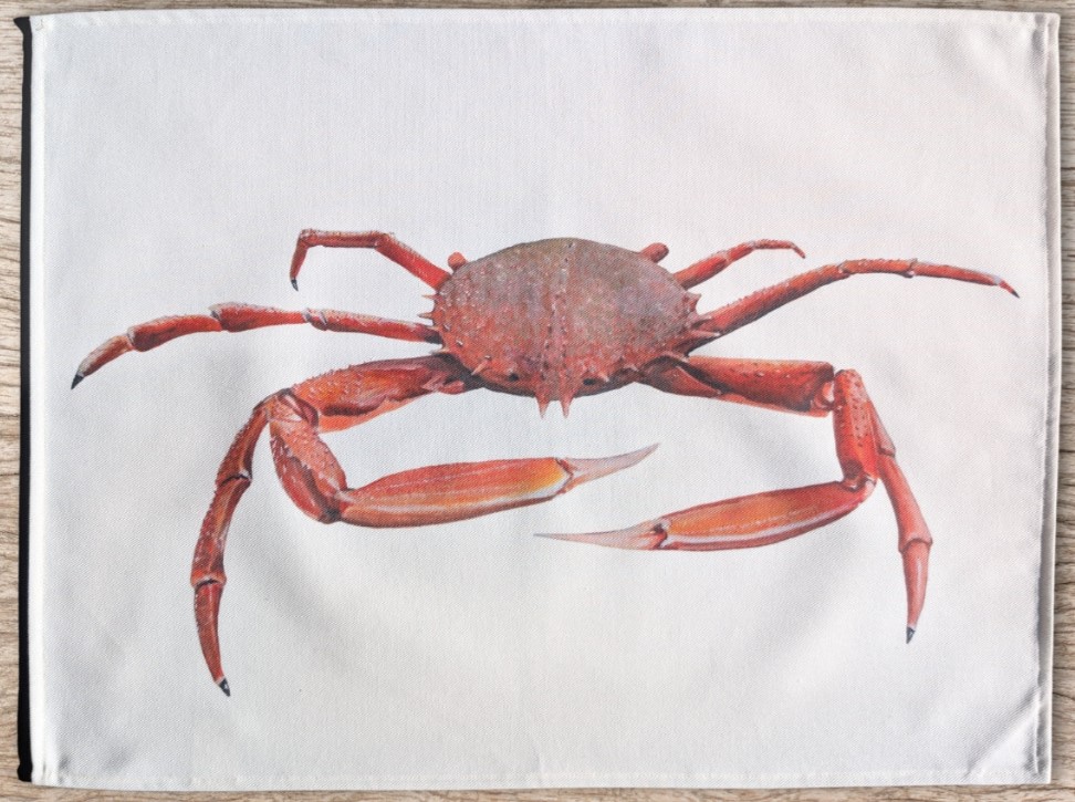 Le Grenier du Marais-Torchon araignée-Châtelaillon-Plage