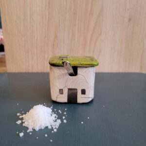 Le Grenier du Marais-Maison à sel vert-Châtelaillon-Plage