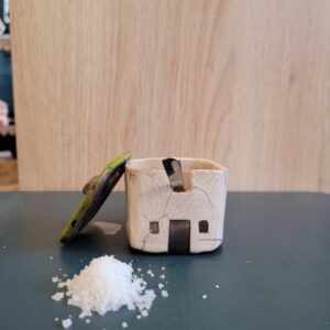 Le Grenier du Marais-Maison à sel vert(1)-Châtelaillon-Plage