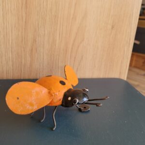 Le Grenier du Marais-Coccinelle orange(1)-Châtelaillon-Plage