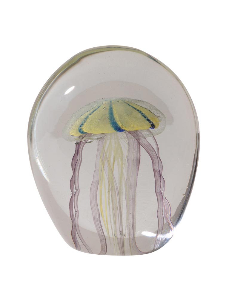 Le Grenier du Marais-Sulfure méduse tigrée-Châtelaillon-plage