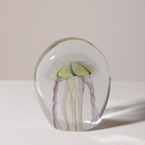 Le Grenier du Marais-Sulfure méduse tigrée(1)-Châtelaillon-Plage