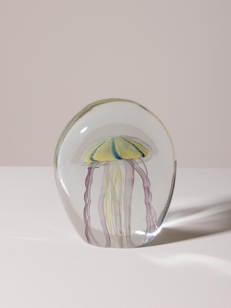 Le Grenier du Marais-Sulfure méduse tigrée(1)-Châtelaillon-Plage